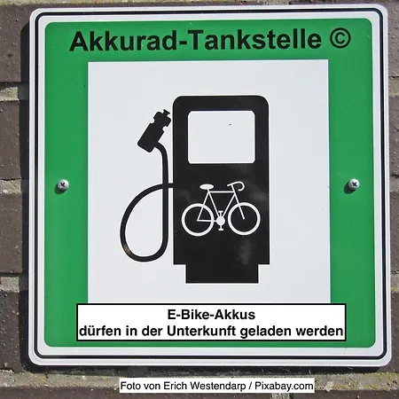Wetekams W4 *